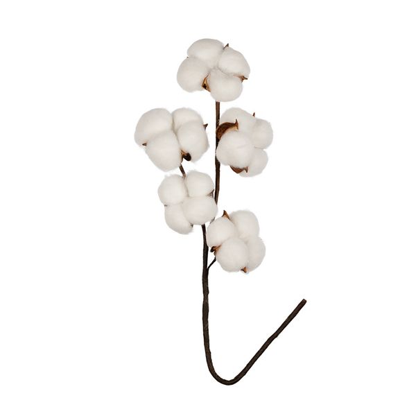 Декоративные элементы, 5 шт, 40 см, 01 веточка хлопка, Blumentag CTW-02