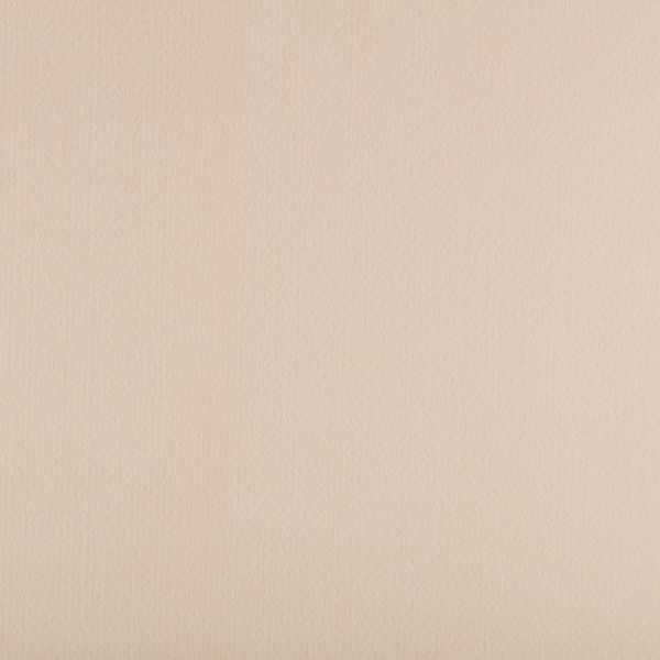 Фетр листовой жесткий 1.2 мм, 33х53 см, 808 св.бежевый, Gamma FKS12-33/53