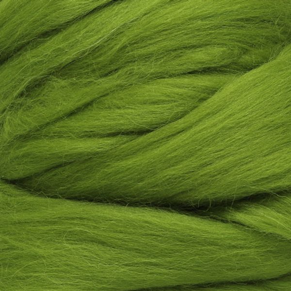 Шерсть для валяния Троицкая п/тонкая 1х100 г (до 29 мкр), 1550 аспарагус