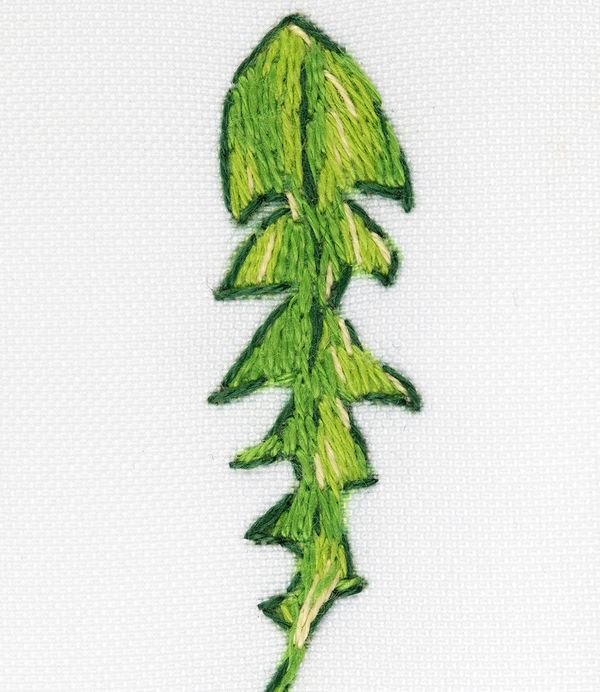 Набор для вышивания нитками Panna, Живая картина. Паттерн. Одуванчики, 24х30 см