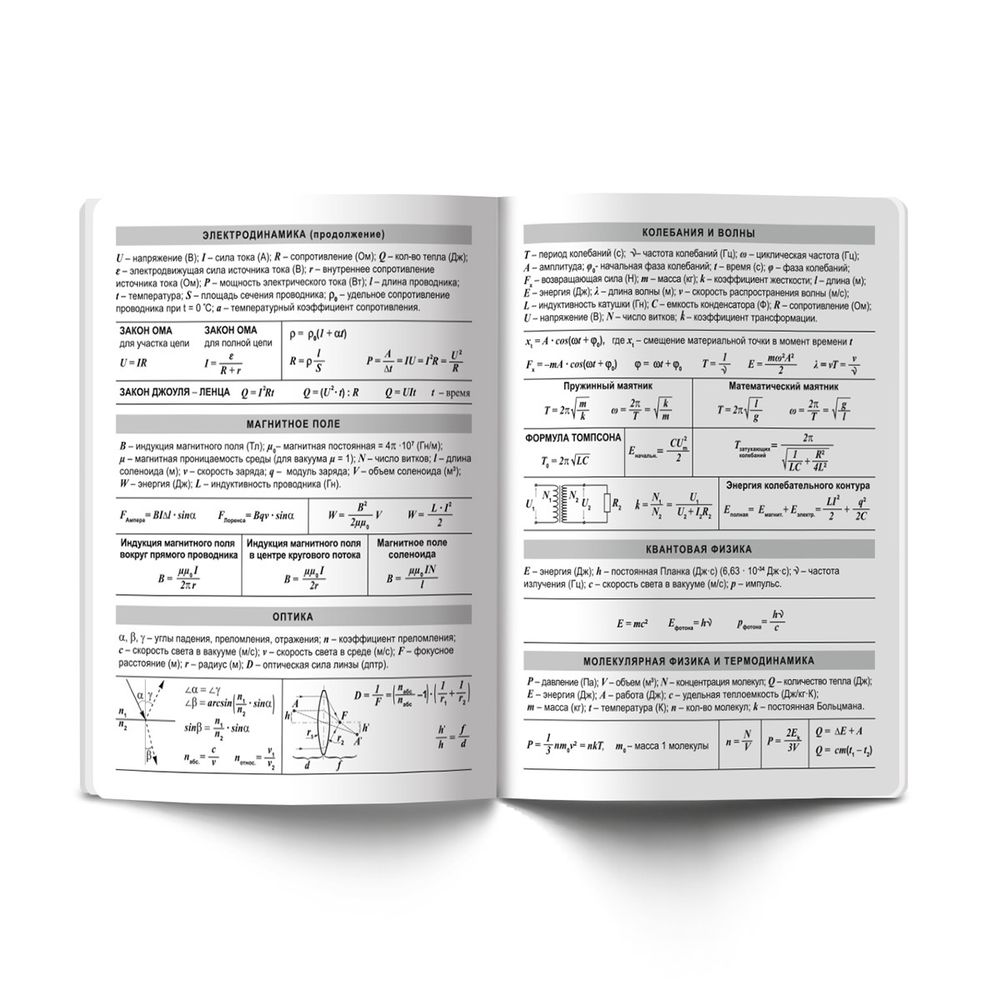 Комплект предметных тетрадей Разные интересы A5+ 48 л. 12 шт, на скобе клетка/линия, Алгебра, Английский, Биология, География, Геометрия, Физика, Химия, История, Русский, Литература, Обществознание, Информатика, Светоч