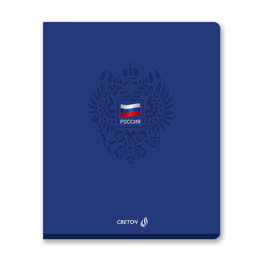 Тетрадь ученическая общая, твин лак, A5 48 л. на скобе 65 г/м², белизна 100% 10 шт клетка, 01510 Патриотичная, Светоч Т198