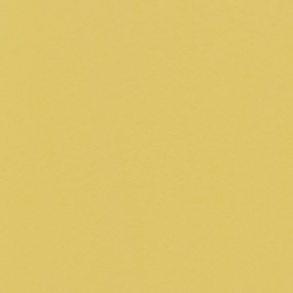 Бумага цветная 120 г/м², A4 21х29.7 см, 50 шт, 07 охра/ochre, Vista-Artista