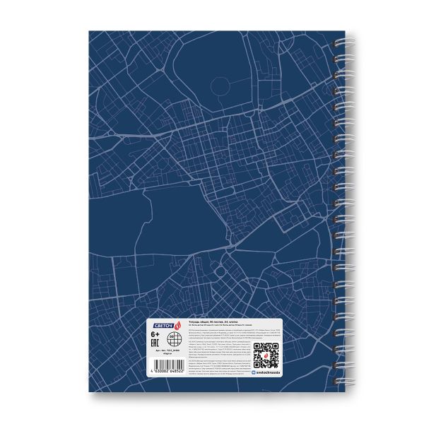Тетрадь общая с твердой обложкой, матовая ламинация A4 80 л. на гребне 65 г/м², белизна 100% 2 шт клетка, 01569 Карта, Светоч Т217