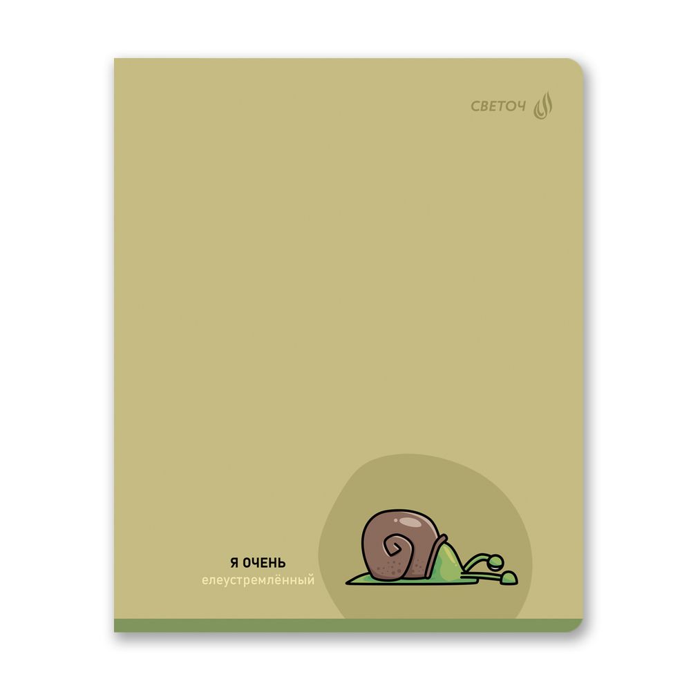 Тетрадь ученическая общая, твин лак, A5 96 л. на скобе 65 г/м², белизна 100% 5 шт линия, 01537 Вопросов нет, Светоч Т208