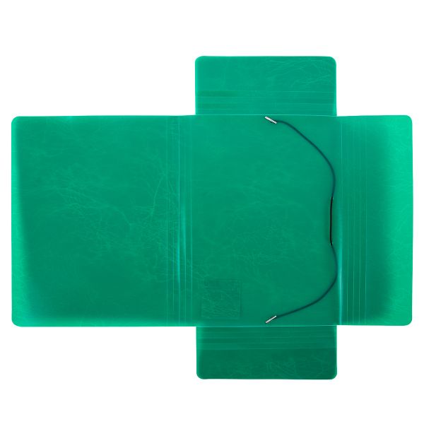 Папка на резинке A4 600 мкм 35 мм, волокно, 5 шт, зеленый new EC21043003, Expert Complete