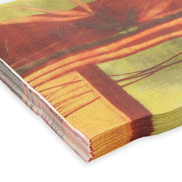 Салфетки 33х33см, 2-х слойные AY, 20 шт/упак (AY-2004)