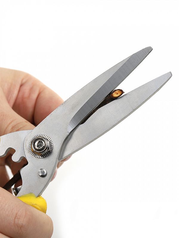 Секатор прямое лезвие 80/210.2 ручки желто-черный пластик, Maxwell Garden