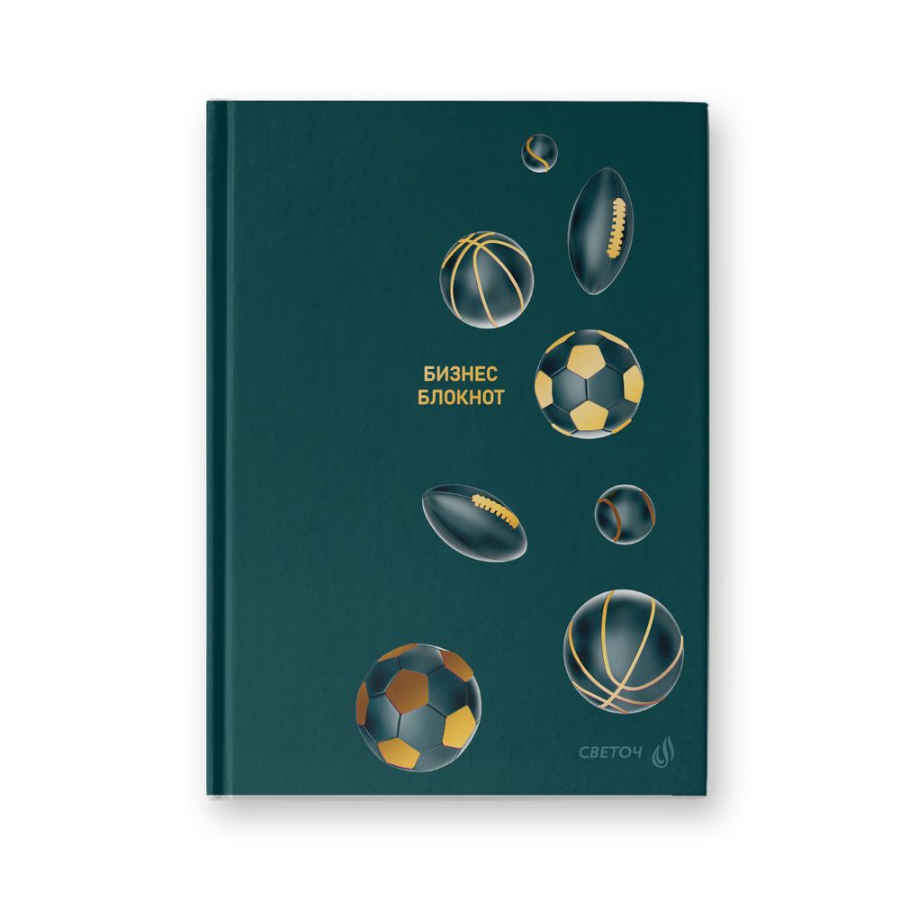 Бизнес-блокнот, мат. лам. + тис. золотой фольгой, тониров. блок, евроформат 64 л. 24 шт, французская клетка, Всем спорт! 01156, Светоч ББ97