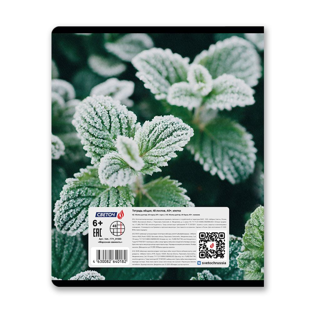 Тетрадь ученическая общая, глянцевая ламинация A5 48 л. на скобе 65 г/м², белизна 100% 10 шт клетка, 01503 Морозная свежесть, Светоч Т71