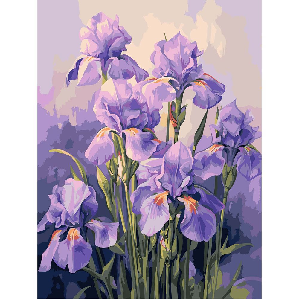 Картина по номерам Cristyle ST029, Ирисы в пастельных тонах, 30х40 см
