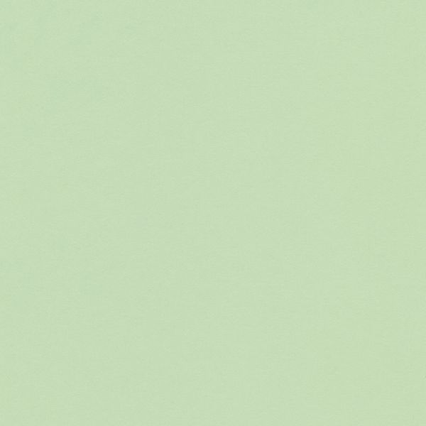 Бумага цветная 120 г/м², A4 21х29.7 см, 50 шт, 12 мятный/mint, Vista-Artista