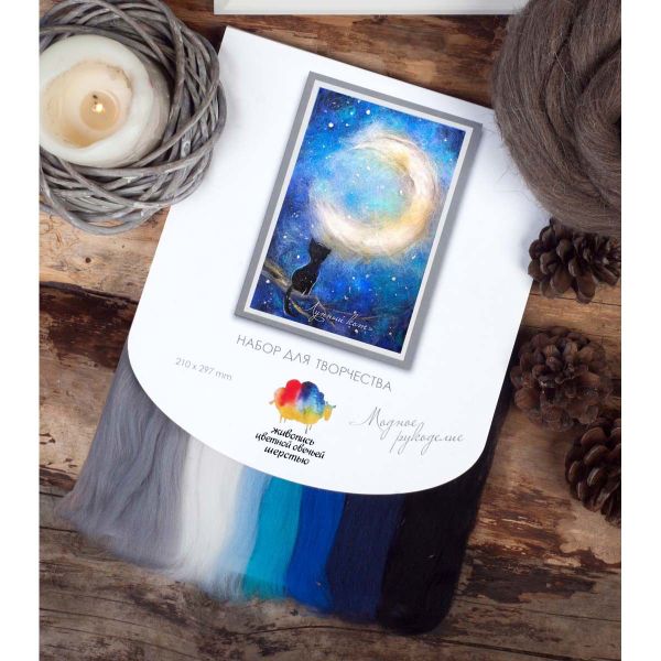 Набор для валяния (живопись цветной шерстью) 