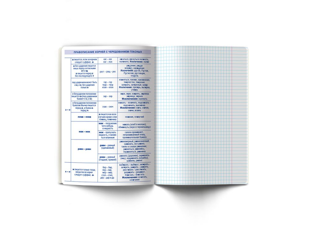 Тетрадь со справочным материалом АниМания, выборочный лак, A5+ 48 л. на скобе 65 г/м², белизна 100%, 10 шт, линия, 000565 Русский язык, Светоч 48ТПСКа5_4_2_2