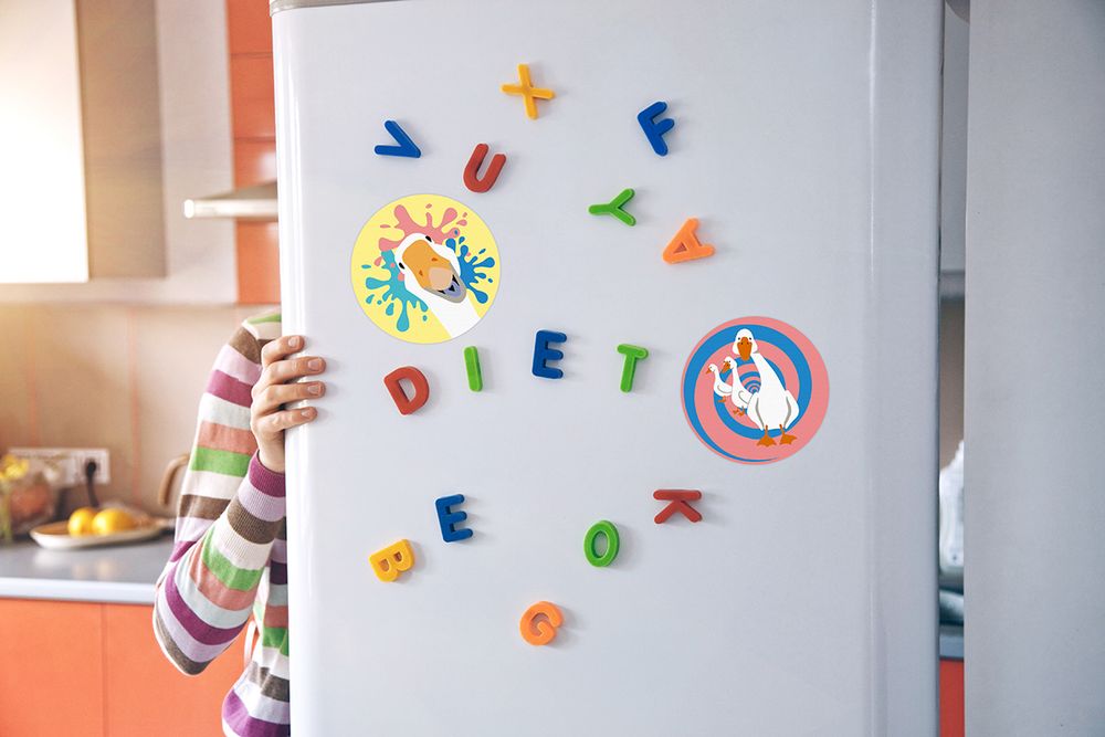 Картина по номерам Фрея PNBM-007, Диско-гуси, (на магните) 9х9 см