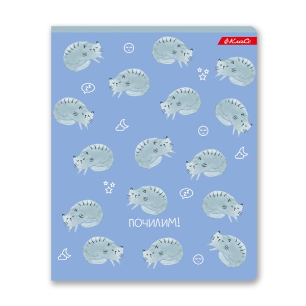 Тетрадь ученическая общая, A5+ 48 л. на скобе, белизна 100%, 10 шт, клетка, 000317 Почилим!, Светоч 48ТСК5_3_1