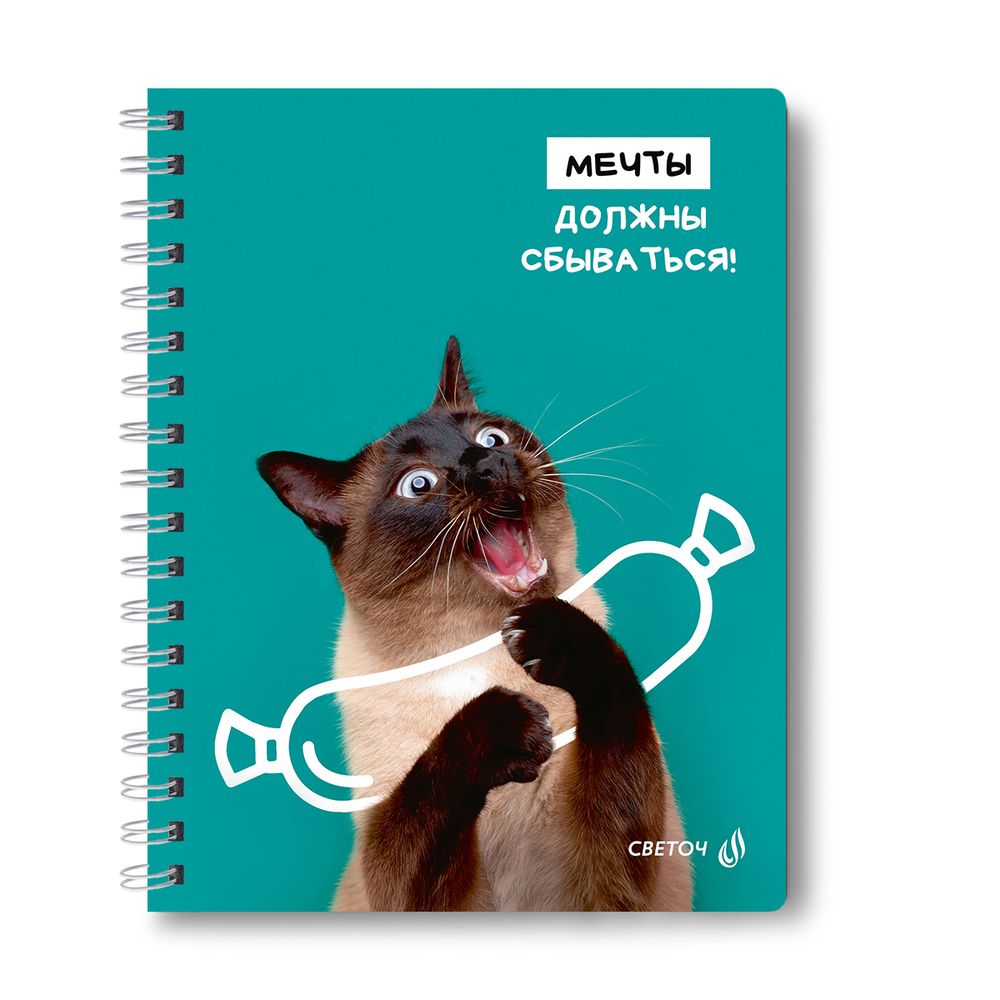 Тетрадь ученическая общая, A5 48 л. на гребне 65 г/м², белизна 100 %, 8 шт, клетка, 01171 МИКС - Мечты сбываются, Светоч Т107
