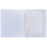 Папка с вкладышами 60 л. A4 700 мкм 25 мм, 1 шт, лёд EC211820074, Expert Complete