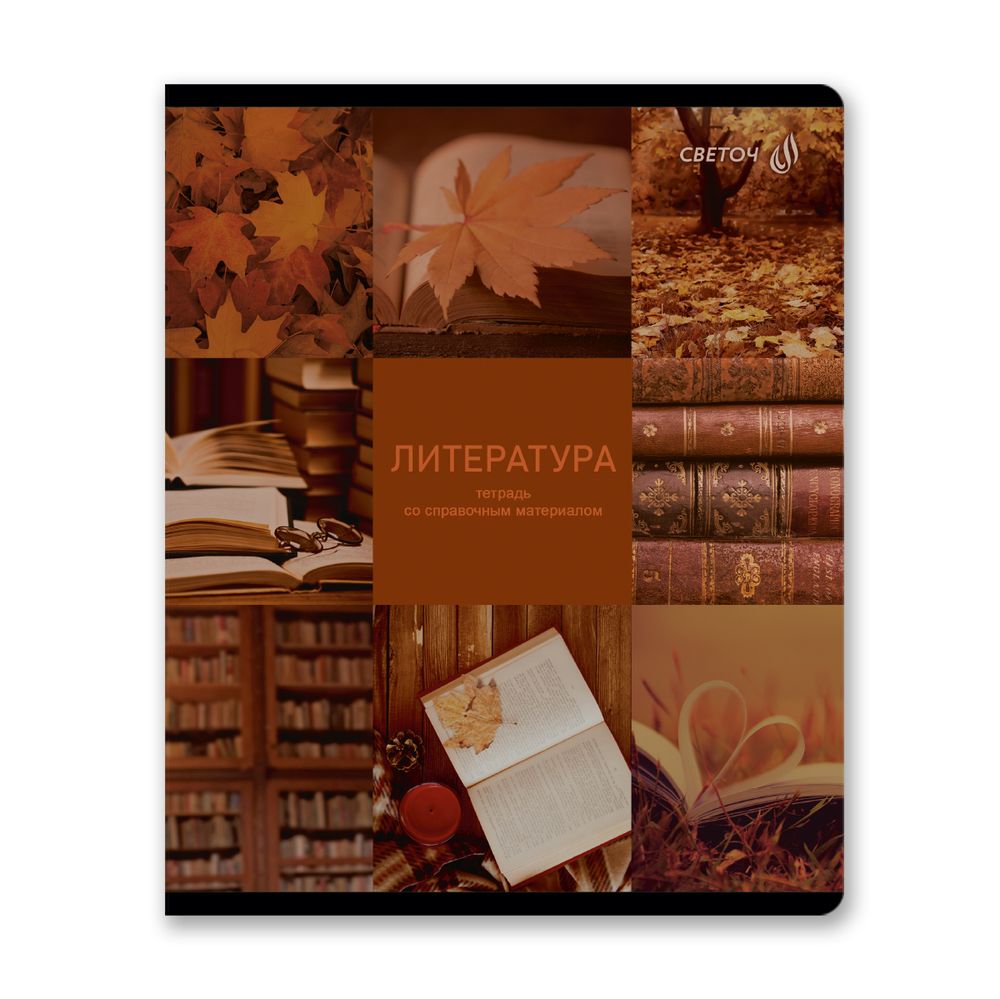 Тетрадь со справочным материалом Огромный мир внутри, A5 48 л. на скобе 60 г/м², белизна 90% 10 шт линия, 01809 Огромный мир внутри Литература, Светоч Т279