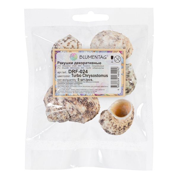 Ракушки декоративные, 5 шт, 6.9 см, Turbo Chrysostomus, Zlatka DRF-024