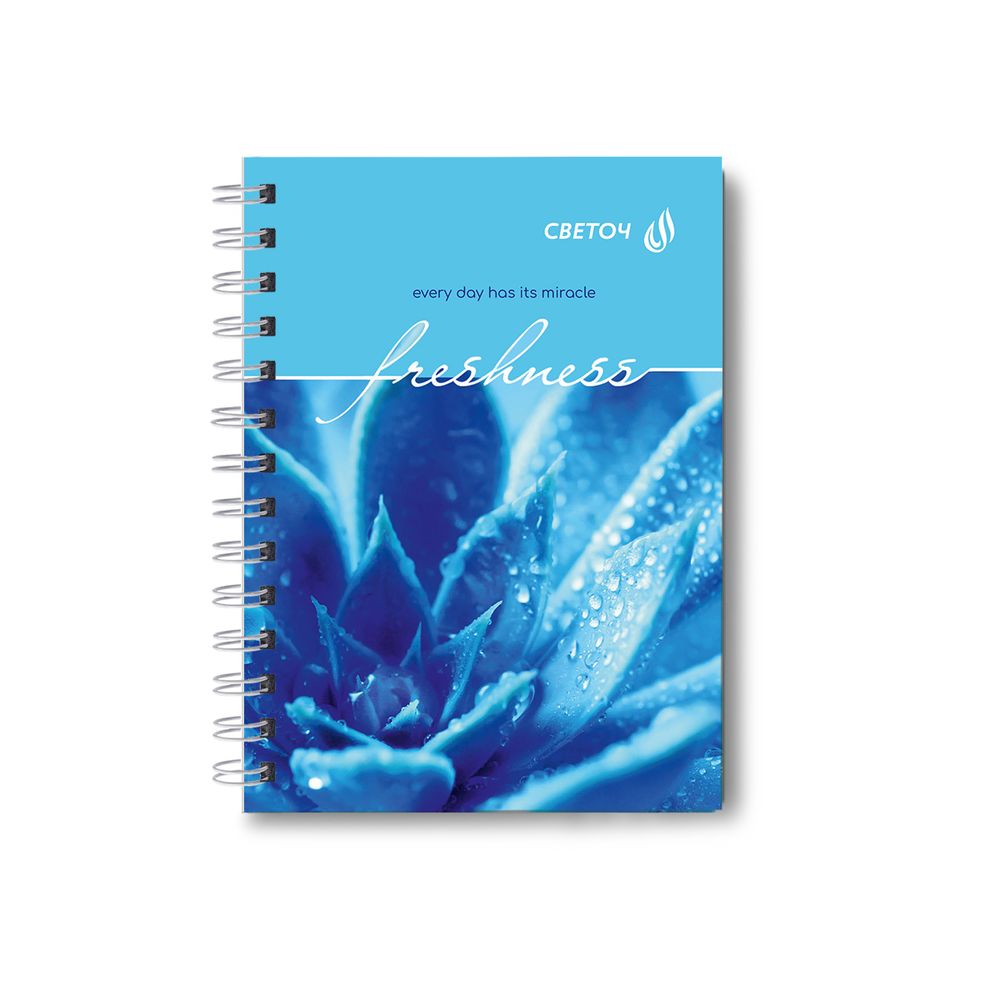 Записная книжка с твердым переплетом, глянцевая ламинация, на гребне A6 80 л. 4 шт клетка, После дождя 01583, ЗК221 Светоч