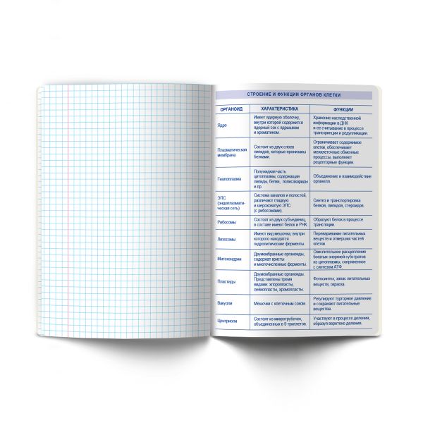 Тетрадь со справочным материалом Остров легенд, сплошной лак, A5+ 48 л. на скобе 65 г/м², белизна 100 %, 10 шт, клетка, 01312 Остров легенд Биология, Светоч Т143