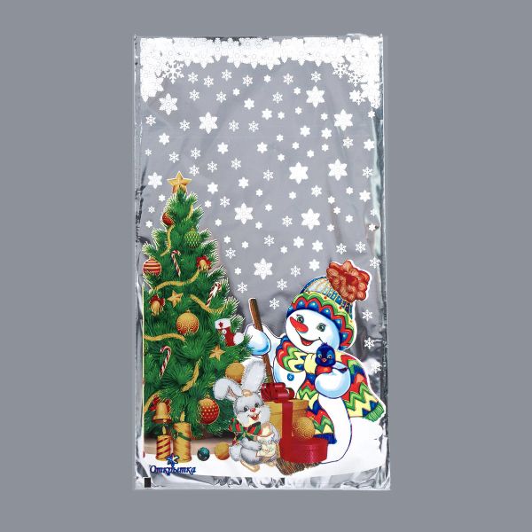 Пакет подарочный 