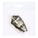 Штамп 5.8х5.8 см, 05 Ракушка, Mr.Painter TSM-03