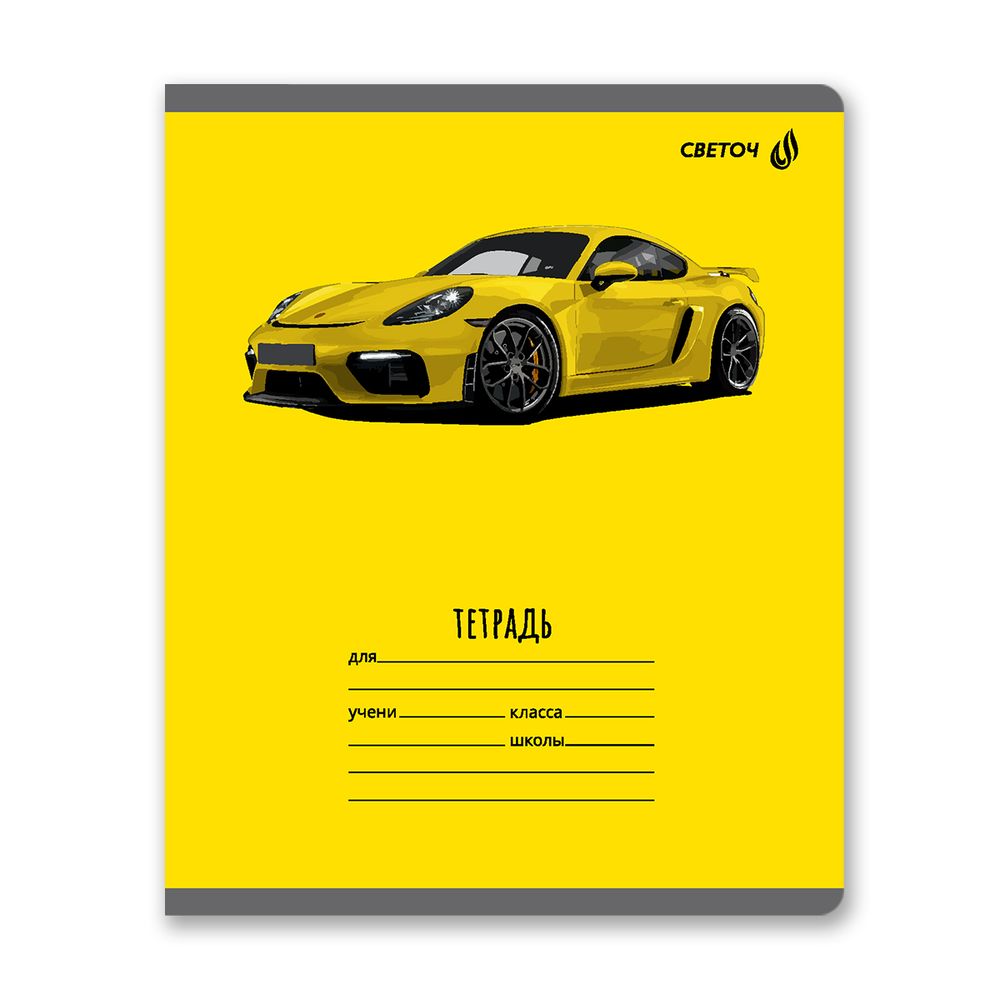 Тетрадь ученическая школьная, выборочный лак, A5 18 л. на скобе 65 г/м², белизна 100% 20 шт линия, 01454 Дрифт, Светоч Т185