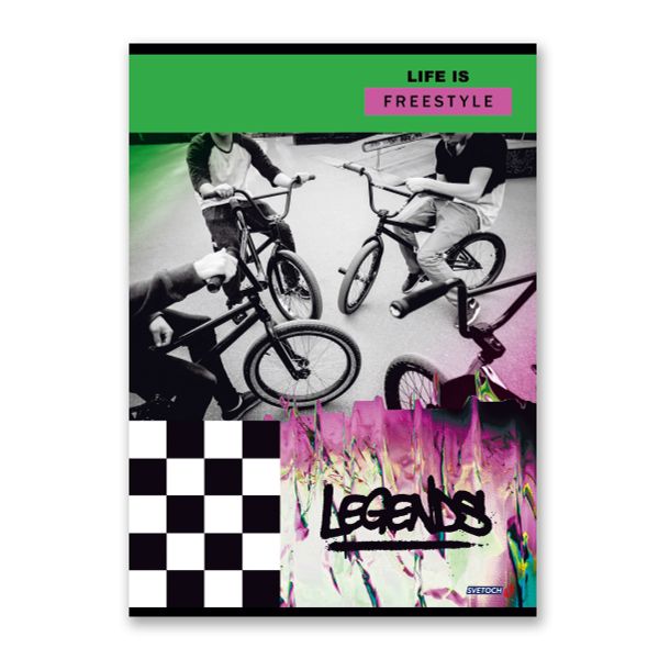 Тетрадь ученическая общая, A4 48 л. на скобе 65 г/м², белизна 100%, 6 шт, клетка, 000454 Точка опоры, Светоч 48ТСК4_0_2_1