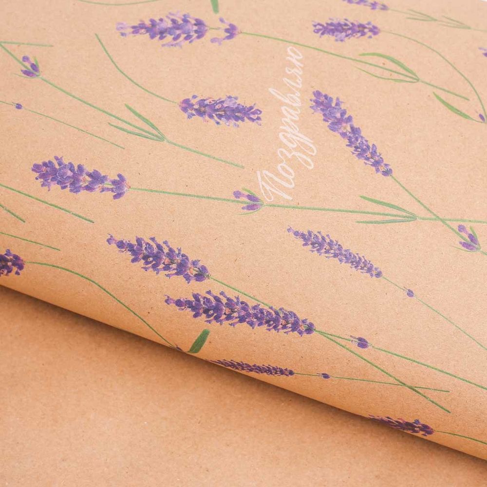 Бумага упаковочная крафт "Лаванда", 70х50 см, 10 шт /TOS/