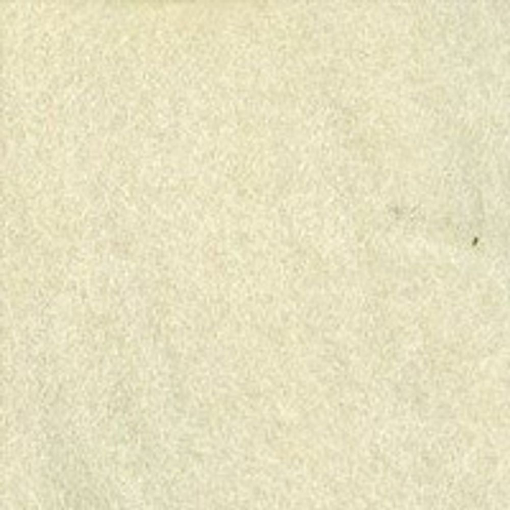 Шерсть для валяния (до 23 мкр), 50 г. 0770 суровый, Gamma FY-050