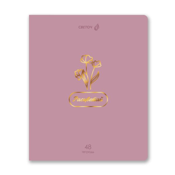 Тетрадь ученическая общая, тиснение золотой фольгой, A5 48 л. на скобе 65 г/м², белизна 100% 10 шт клетка, 01513 Мир красоты, Светоч Т199