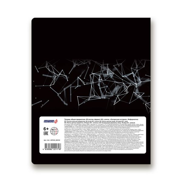 Тетрадь предметная Загадочная история A5+ 48 л. на скобе, белизна 100%, 10 шт, клетка, 48ТСК5/000193 Информатика, Светоч