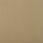 Бифлекс матовый 220 г/м², 150 см / 50 метров, TBY.Bf.2007, цв.2007 бежевый
