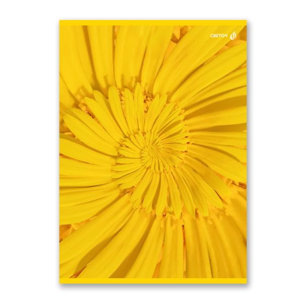 Тетрадь ученическая общая, выборочный лак, A4 96 л. на скобе 65 г/м², белизна 100 %, 6 шт, клетка, 01356 Солнечная, Светоч Т157