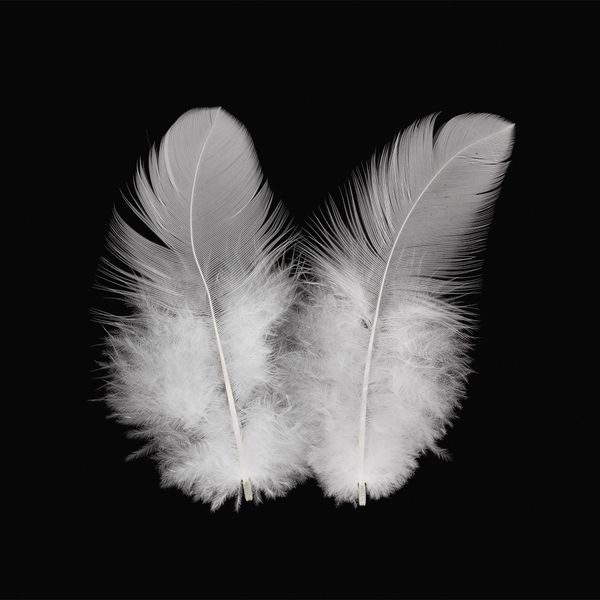 Перья декоративные 5-10 см, 5х3 г,±0.5 г, 01 белый, Mr.Painter