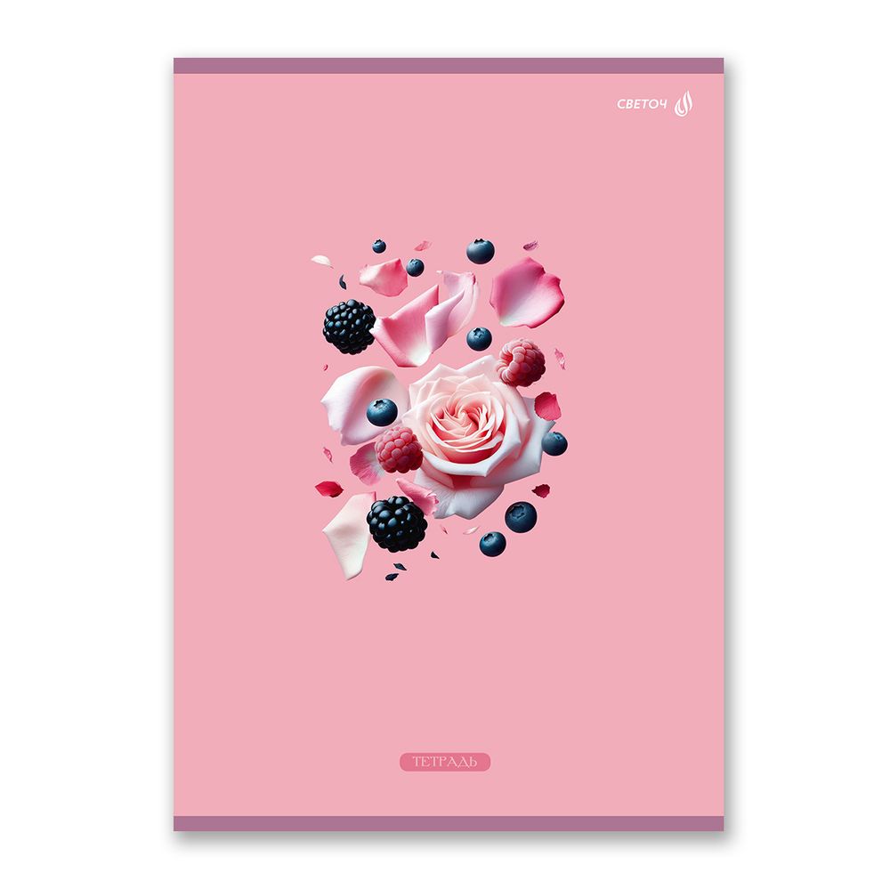 Тетрадь ученическая общая, A4 48 л. на скобе 65 г/м², белизна 100 %, 6 шт, клетка, 01340 Секрет вкуса, Светоч Т152