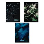 Тетрадь ученическая общая, A4 96 л. на скобе 65 г/м², белизна 100 %, 6 шт, клетка, 01352 Тайны природы, Светоч Т156