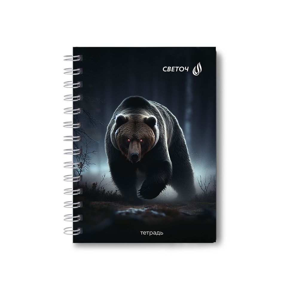 Записная книжка с твердым переплетом, матовая ламинация, на гребне A6 80 л. 4 шт клетка, Сила и смелость 01581, ЗК223 Светоч