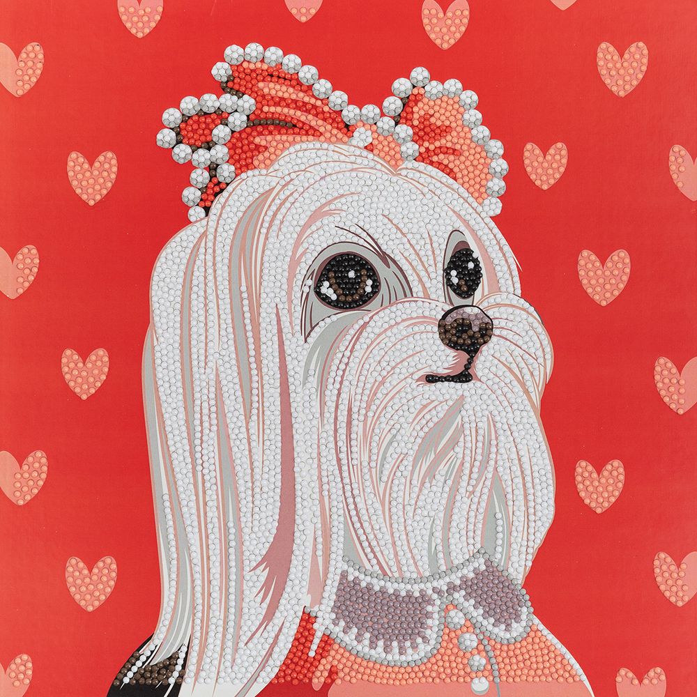 Алмазная (кристальная) мозаика Фрея ALBP-306, постер Леди, 30х30 см