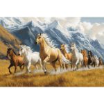 Набор для вышивания нитками Luca-S G704, гобелен Дух свободы, 30х20см