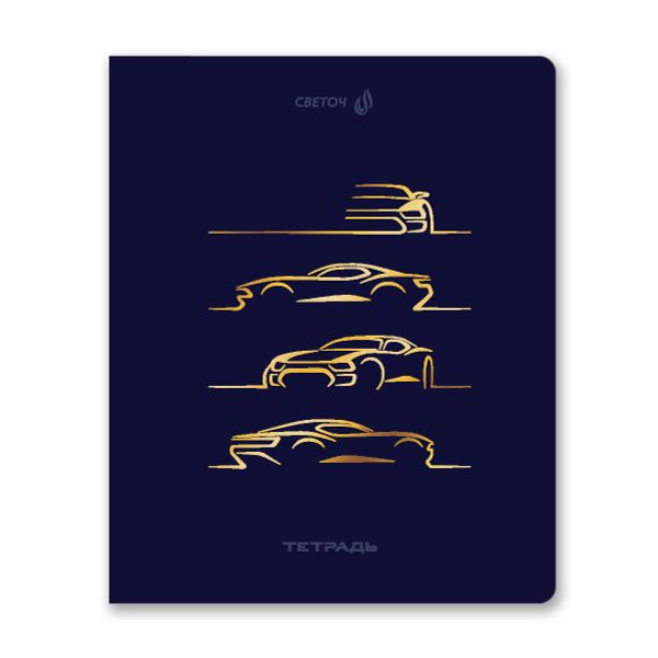 Тетрадь ученическая общая, тиснение золотой фольгой, A5 48 л. на скобе 65 г/м², белизна 100% 10 шт клетка, 01515 Со скоростью света, Светоч Т199