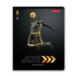 Тетрадь ученическая общая, матовая ламинация + тиснение золотой фольгой, A5+ 48 л. на скобе 65 г/м², белизна 100%, 10 шт, клетка в термоусадочной пленке, 000731 Активный спорт, Светоч 48ТЕТк-008