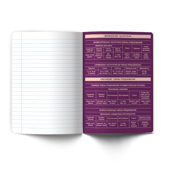 Тетрадь со справочным материалом Лёгким почерком, софт-тач ламинация, A5 48 л. на скобе 65 г/м², белизна 100% 10 шт линия, 01846 Лёгким почерком Русский язык, Светоч Т285