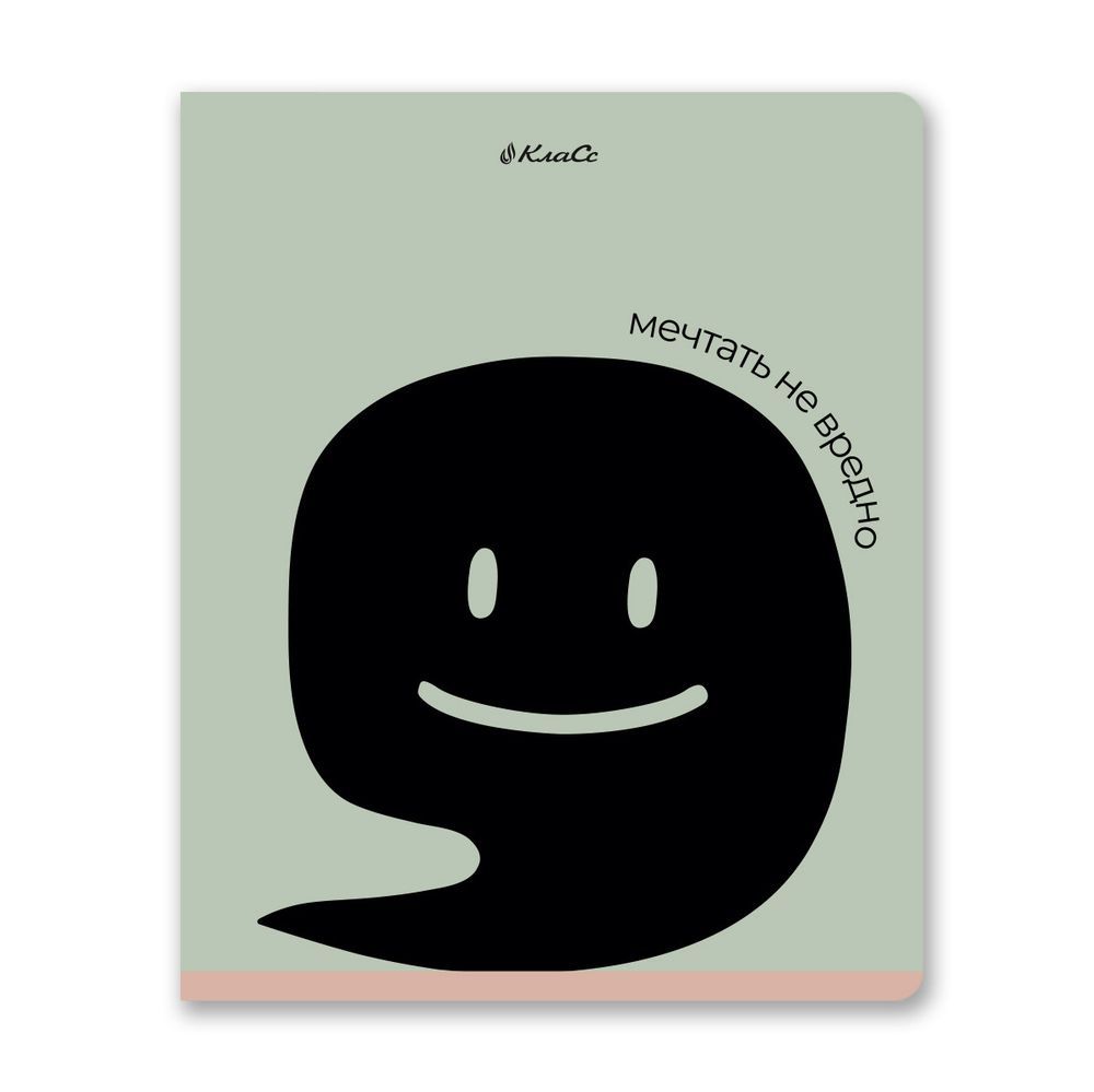 Тетрадь ученическая общая, софт-тач ламинация, A5+ 48 л. на скобе 65 г/м², белизна 100%, 10 шт, клетка в термоусадочной пленке, 000749 Мечтать не вредно, Светоч 48ТЕТк-006