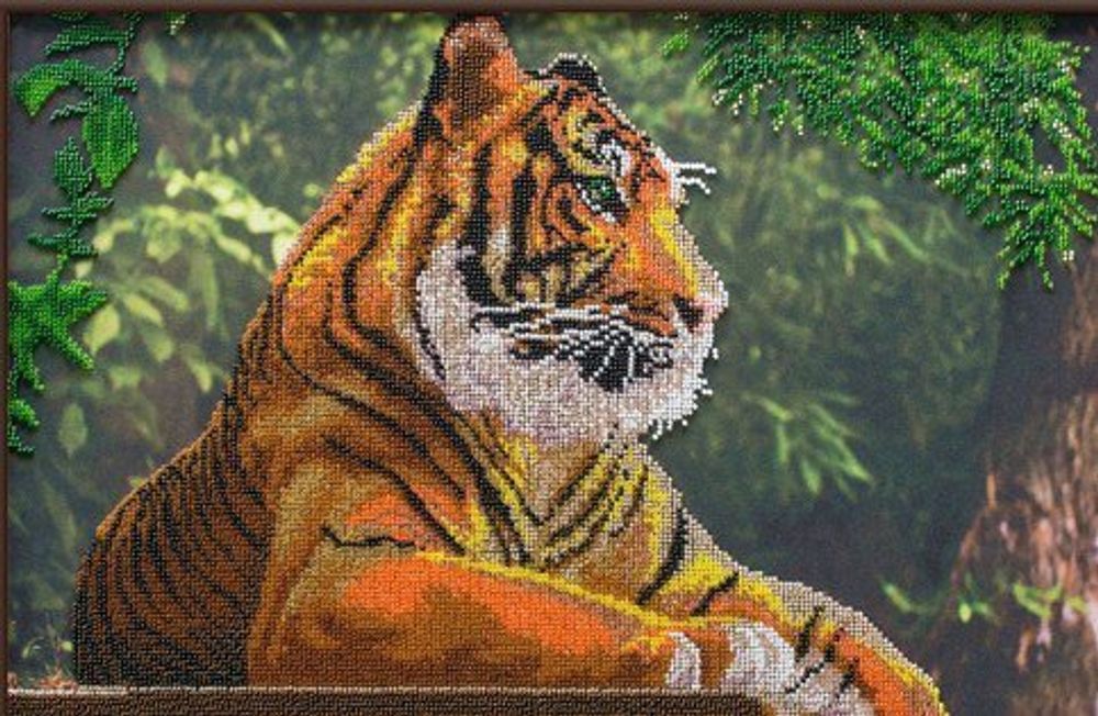 Астрея, Тигр 40х28 см