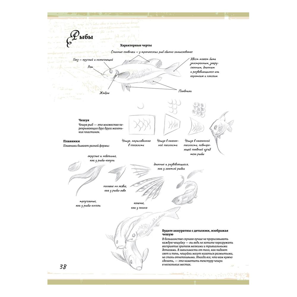Книга. Создание фантастических существ и животных с помощью акварели, 978-5-00116-798-3 К31065
