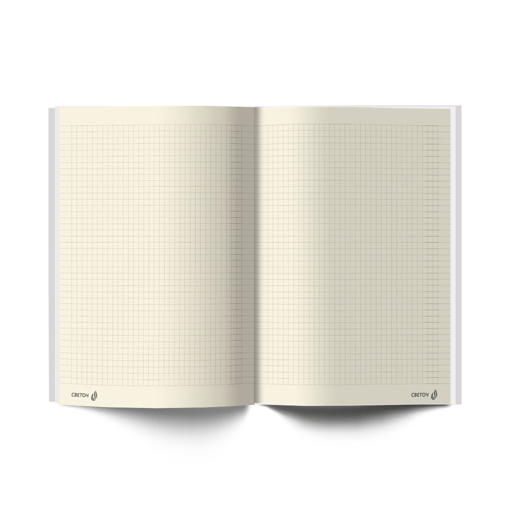 Бизнес-блокнот, мат. лам. + выбор. лак, тониров. блок, евроформат 64 л., 3 шт, французская клетка, Милый призрак 000913, Светоч 64ББТ_93_5_0