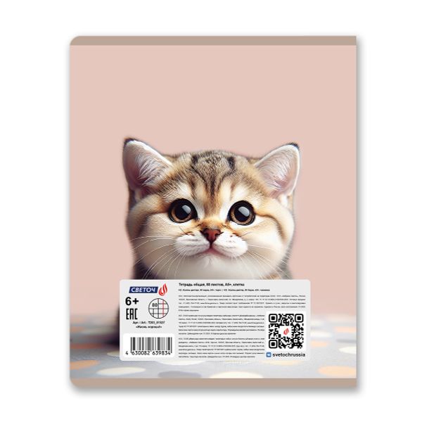 Тетрадь ученическая общая, глянцевая ламинация A5 80 л. на скобе 65 г/м², белизна 100% 5 шт клетка, 01527 Жизнь хороша!, Светоч Т203